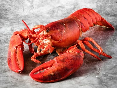 Openclaw AKM: l'outil qui pense avec moi me réapprend à penser